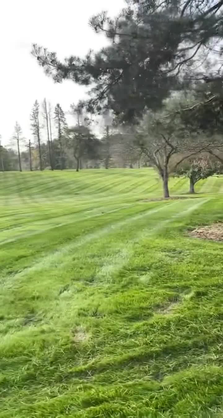 A video walkthrough of defined stripes following a rolling lawn.