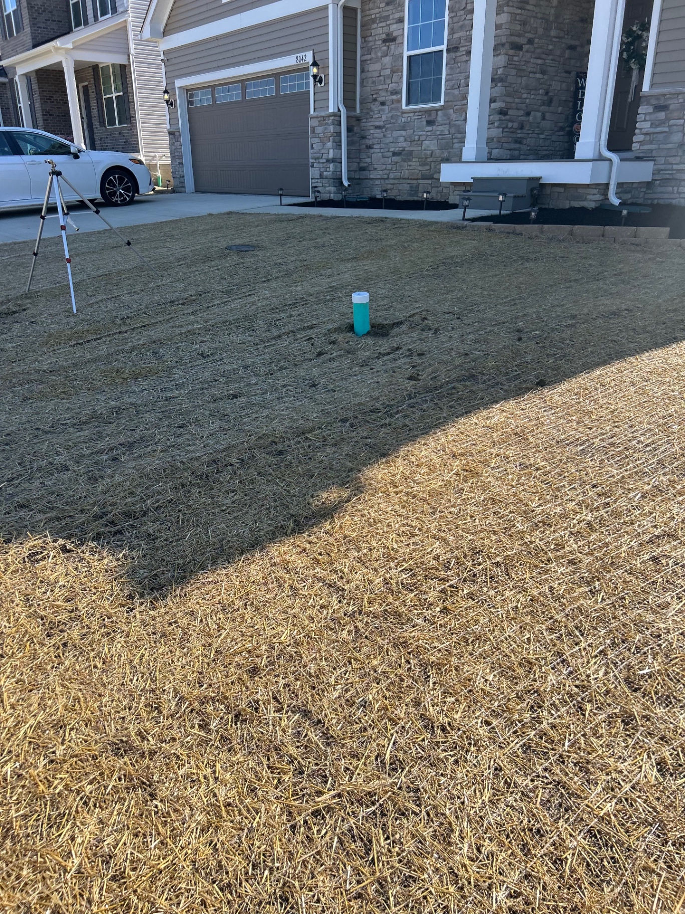 A new lawn taking shape, from prepared ground to straw cover and watering.
