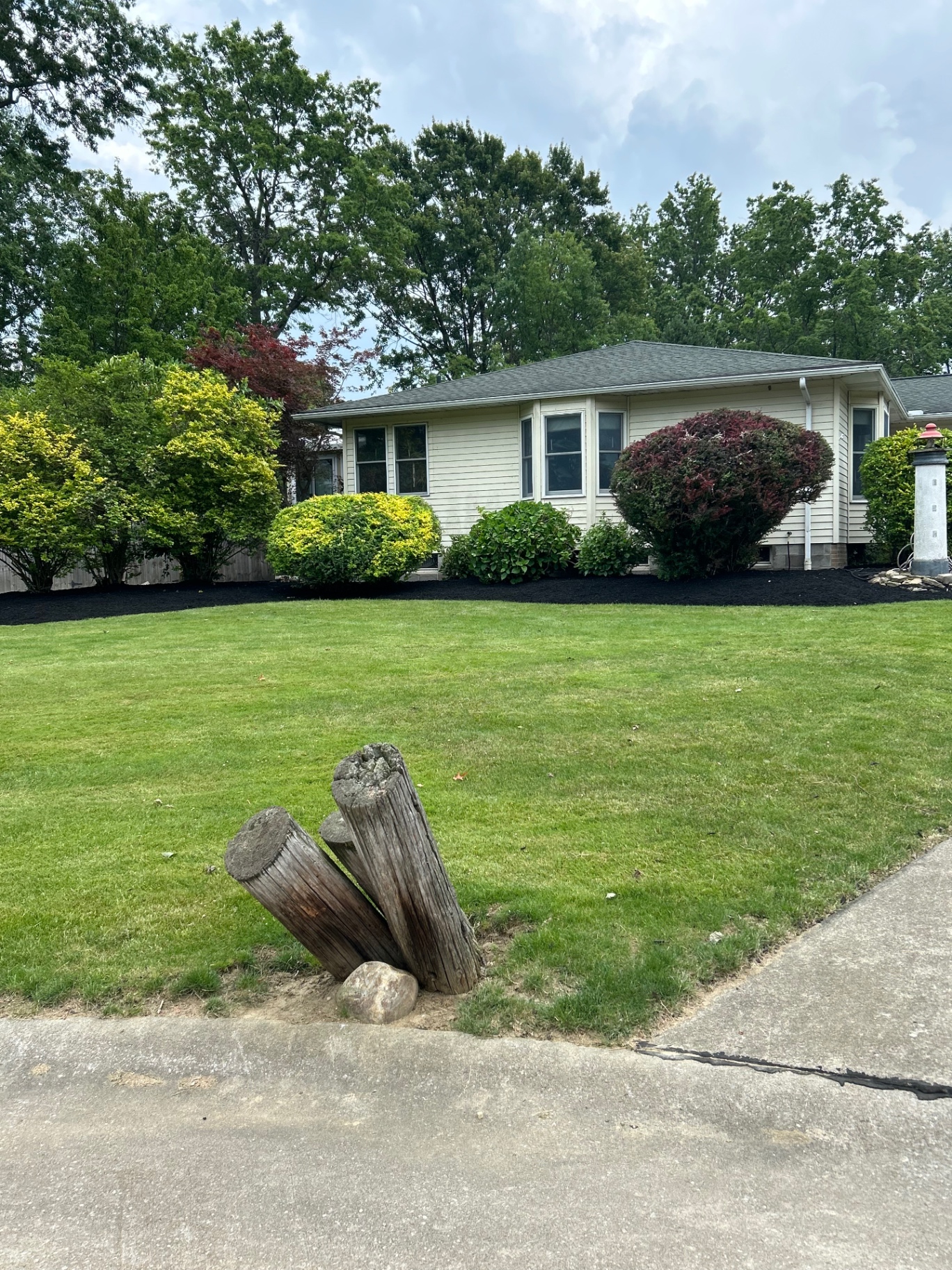 Crisp black mulch and shaped shrubs giving this front garden a tidy, finished look.