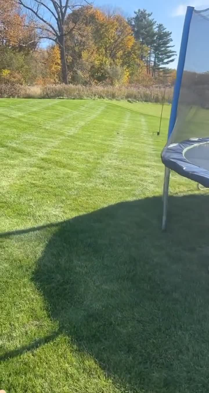 A real view of a freshly mowed lawn in the autumn landscape.
