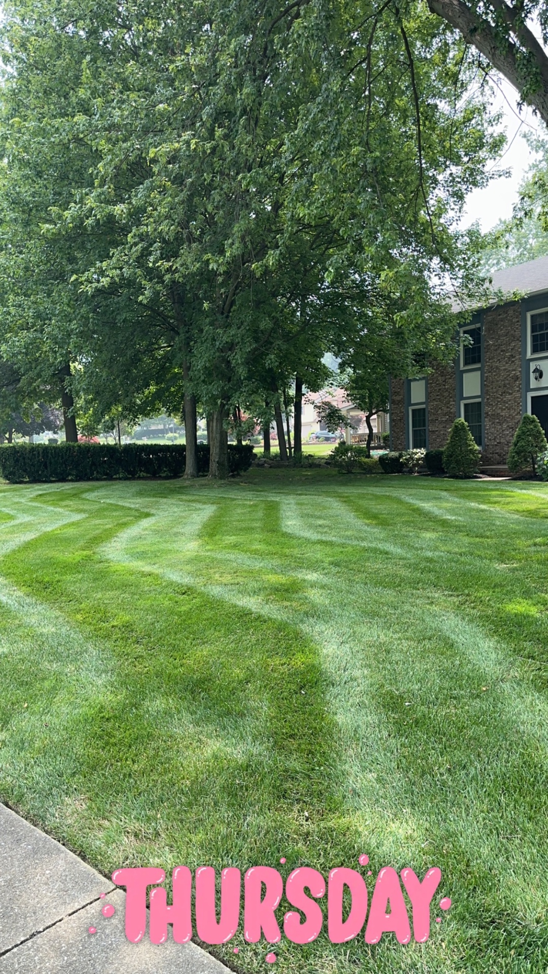 Clean, flowing mowing stripes across an established green lawn.