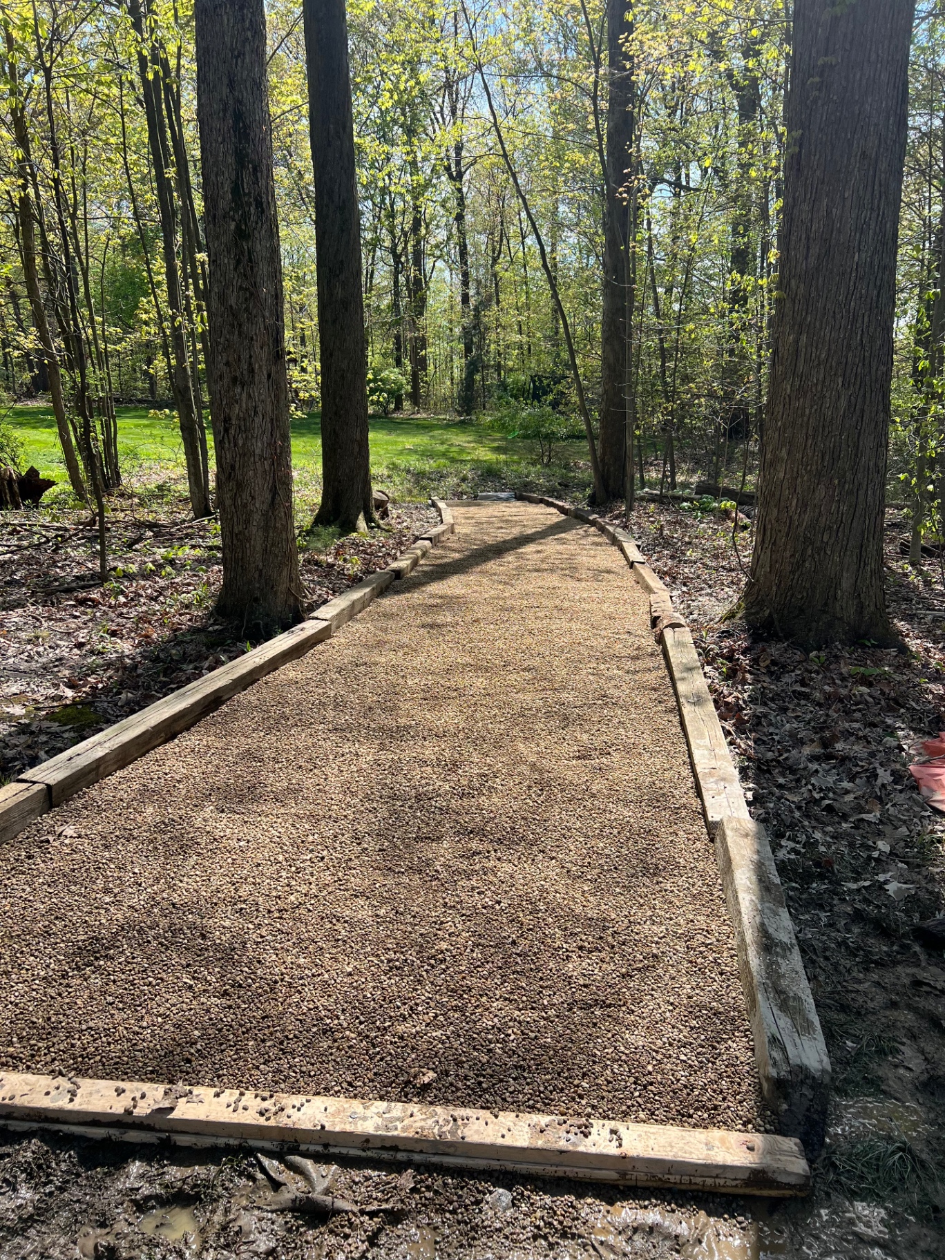 A gravel garden path framed with timber edging, winding between mature trees.